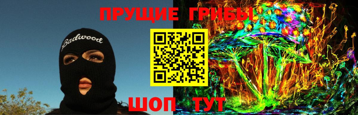 Балаково  Псилоцибиновые грибы GOLDEN TEACHER  Вход с VPN 